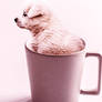 Photomontage Puppy in a mug