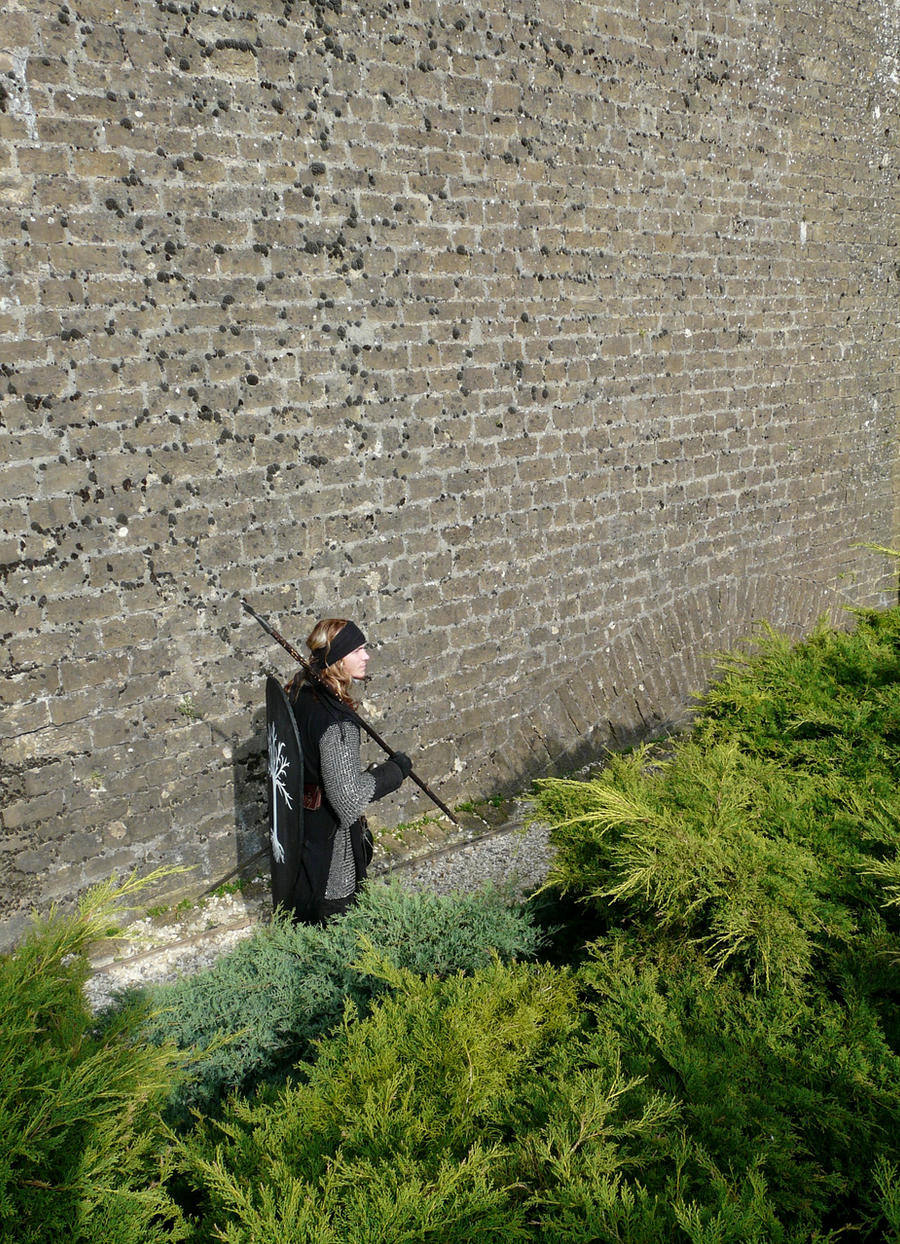 Gondor: Another soldier on the wall