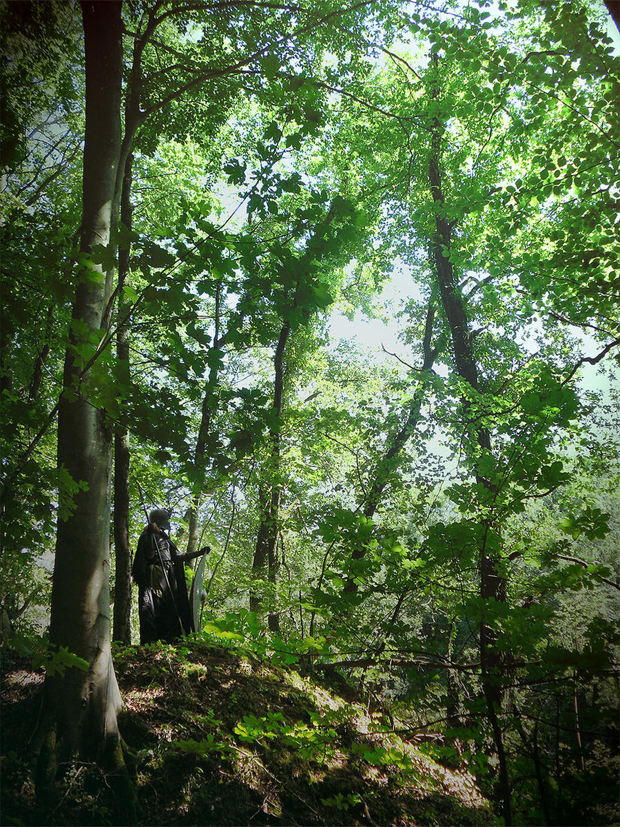Sunlight in Mirkwood