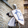 For Lordaeron ! - Warcraft Alliance footman -