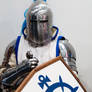 Lordaeron Footman - World Of Warcraft - Alliance