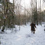 Running through Snow and Trees