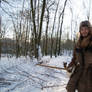 Winter Woods