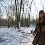 Winter Woods