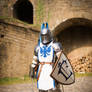 Lordaeron Footman Warcraft human Alliance Cosplay