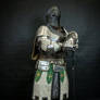 For Honor - Warden cosplay