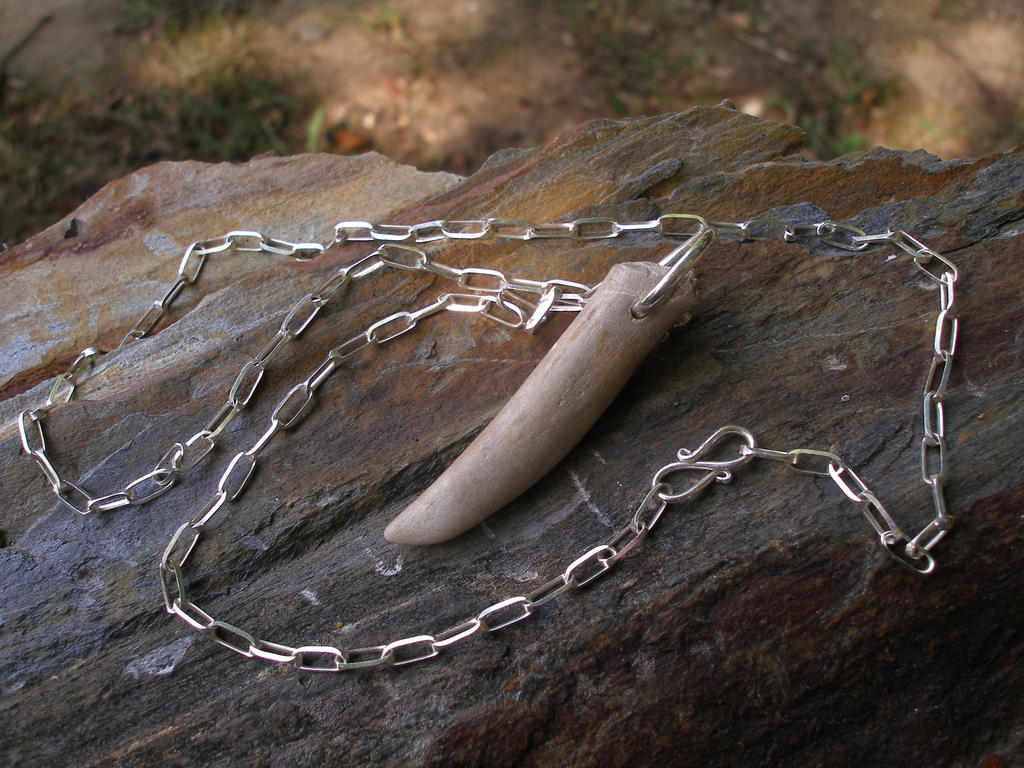 Lanfeust 's Ivory pendant
