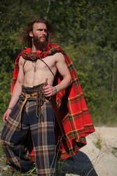 Tragicomix - the Gaul Warrior