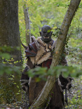 Warcraft Orc - Horde Cosplay by Carancerth