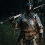 For Honor - Warden Knight Cosplay