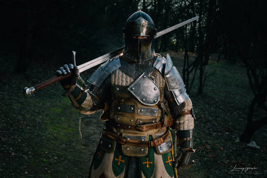 For Honor - Warden Knight Cosplay