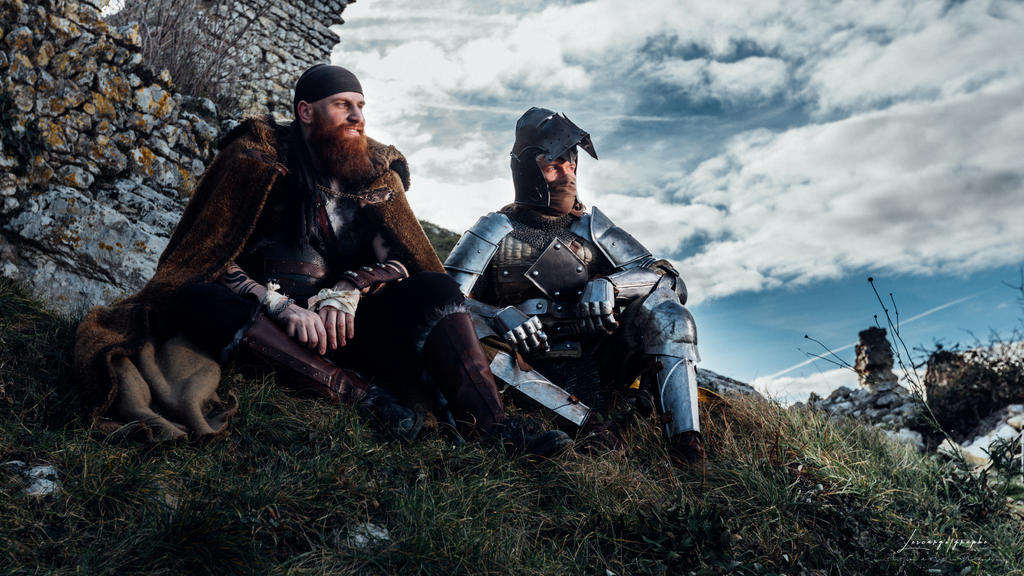 For Honor - Warden Knight, Viking Cosplay