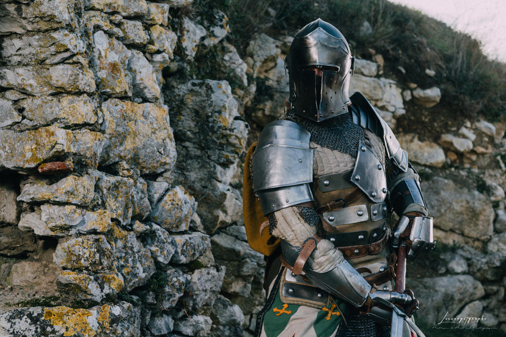 For Honor - Warden Cosplay