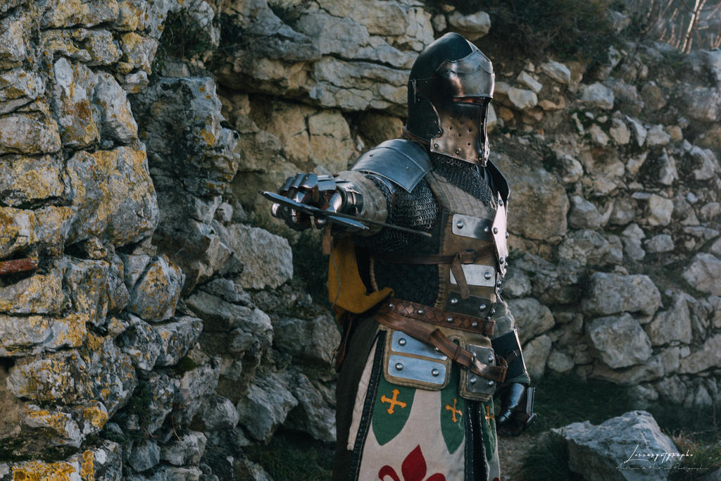 For Honor - Warden Cosplay