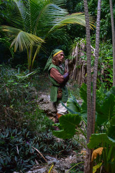 Link's Awakening - Legend of Zelda Cosplay