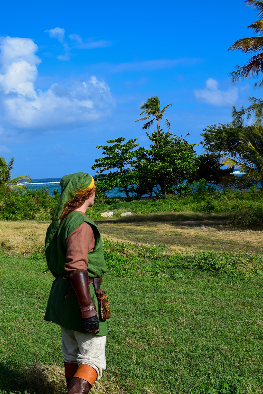 Link's Awakening - Legend of Zelda Cosplay