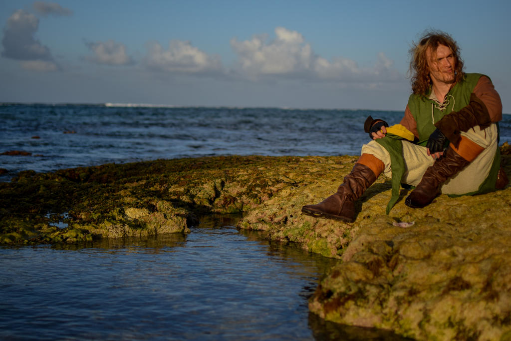 Link's Awakening - Legend of Zelda Cosplay