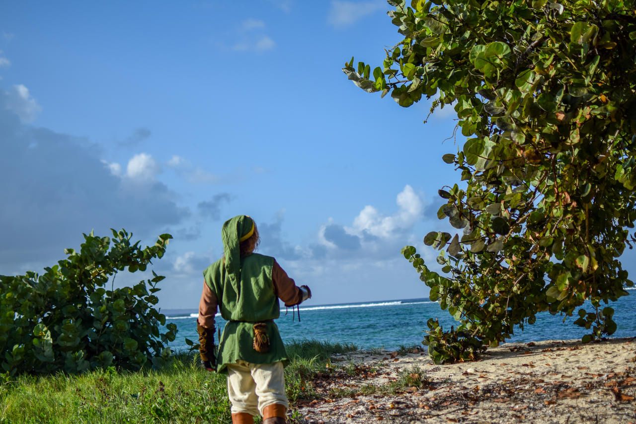 Link's Awakening - Legend of Zelda Cosplay