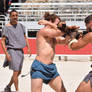 Pugilists - Greek Boxers