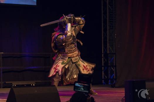 Warden Knight - For Honor Cosplay Ubisoft