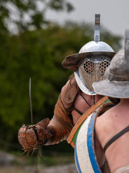 Roman Gladiator Fight - Thraex VS Hoplomachus