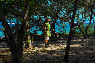 Link's Awakening - the Legend of Zelda Cosplay