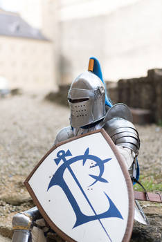 Warcraft Alliance - Lordaeron Knight Cosplay