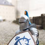 Warcraft Alliance - Lordaeron Knight Cosplay