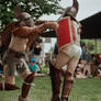 Roman Gladiator Fight - Thraex VS Hoplomachus