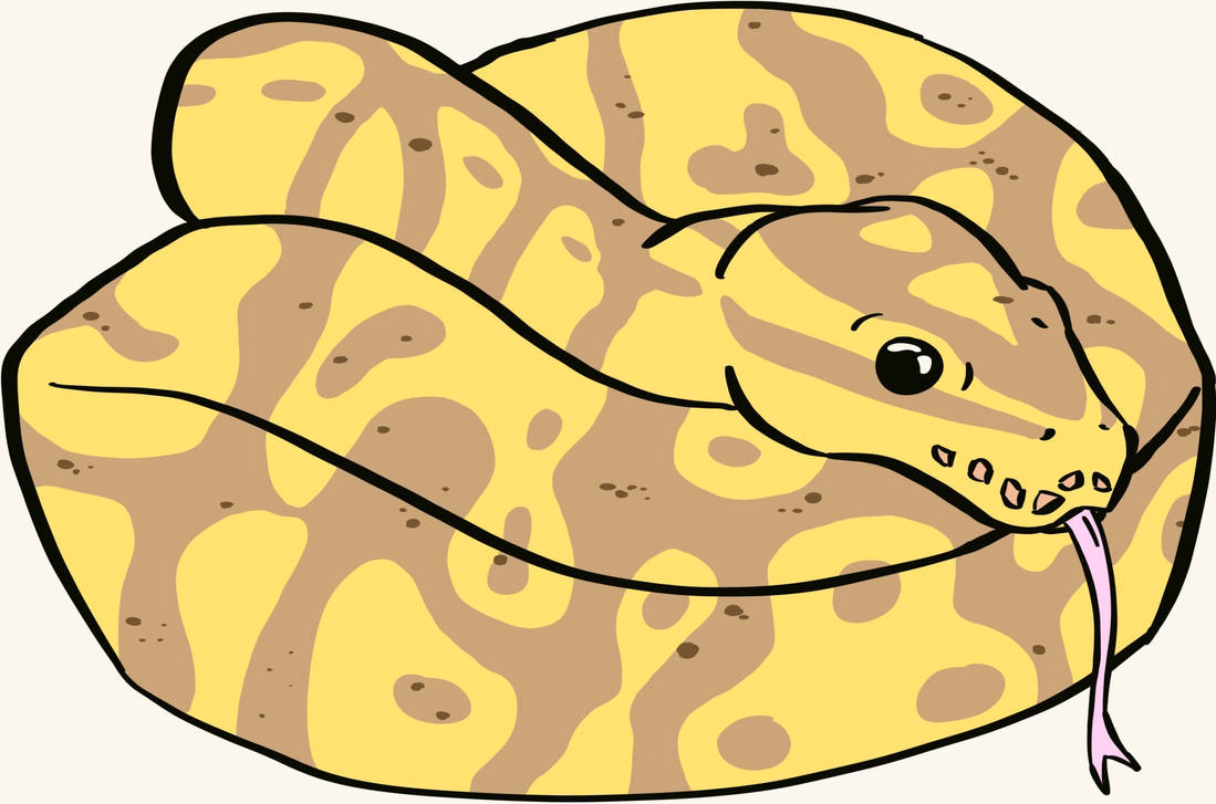 Ball Python by LimboLines on DeviantArt