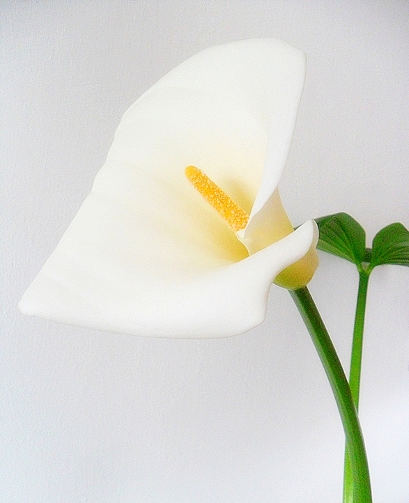 Cala Lilly