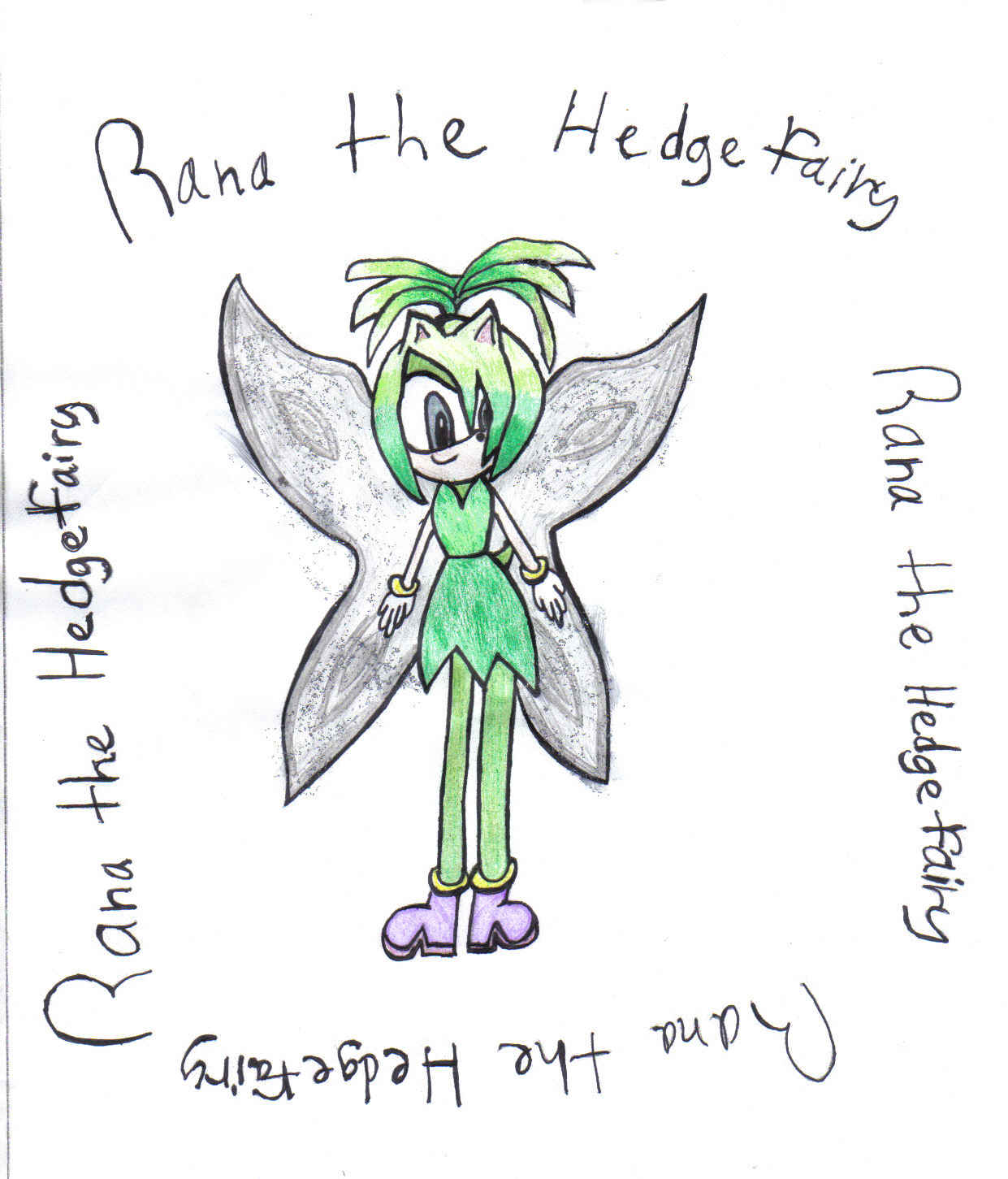 RanaTheHedgefairyContest Entry