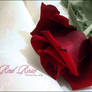 Red Rose