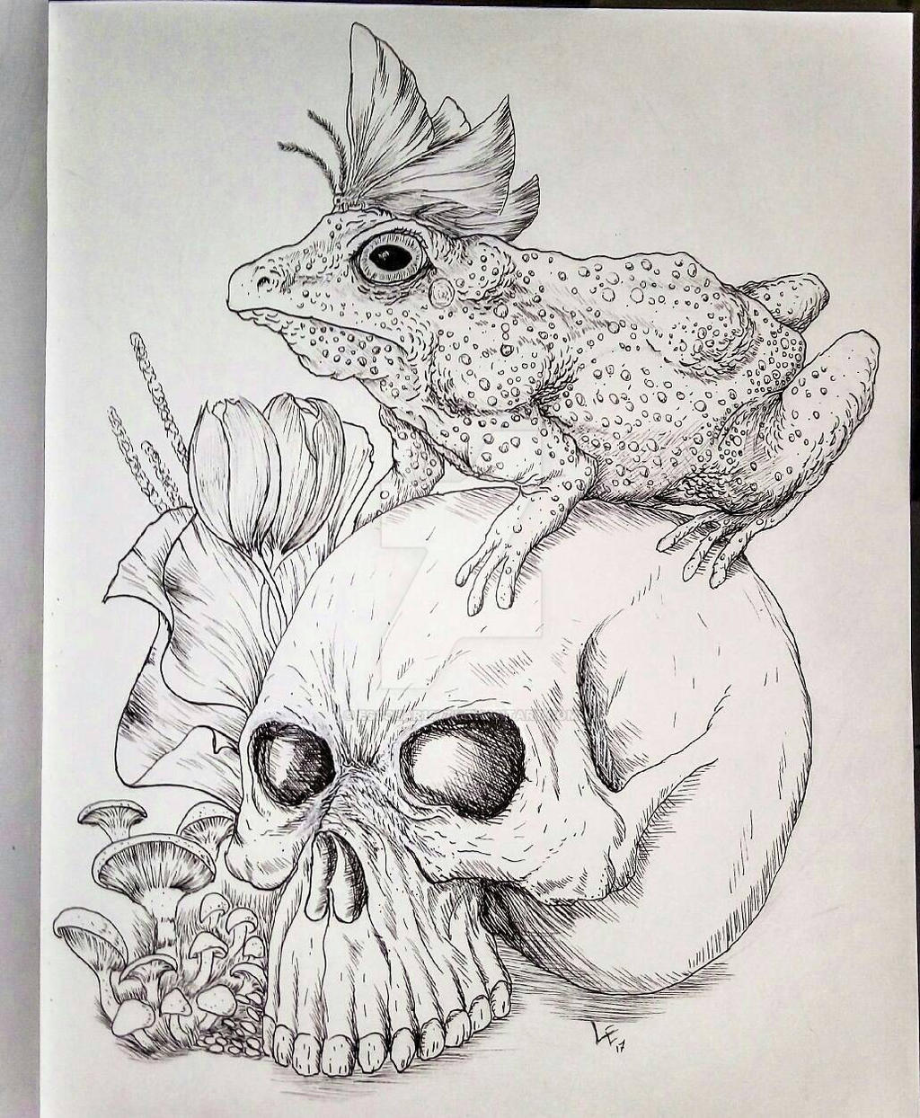 Toad Scull toad and skull by escobar1977 on DeviantArt
