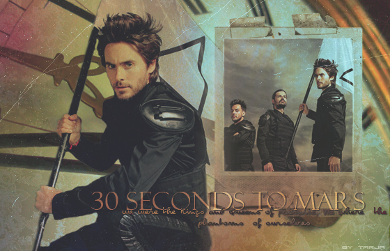 30STM blend