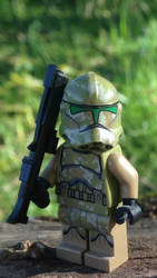 Kashyyyk Trooper on duty
