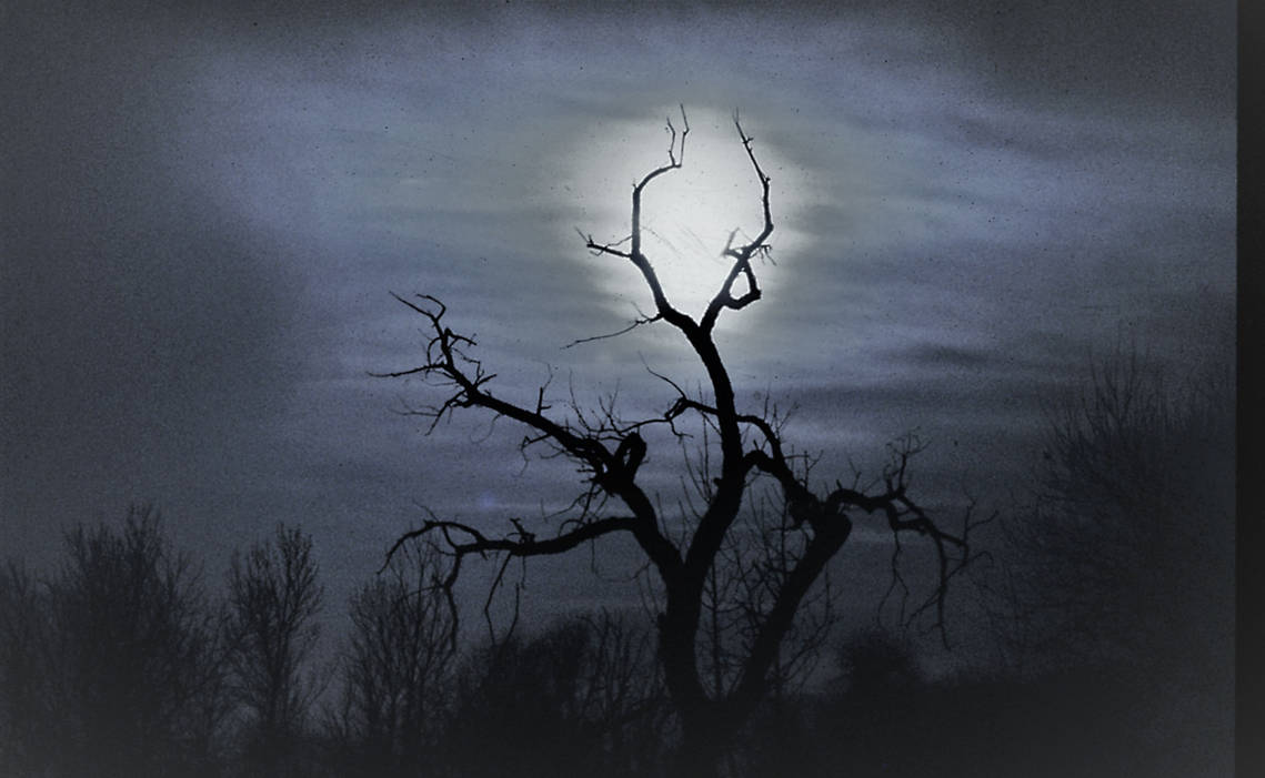 Haunted Moon by wolfcliff on DeviantArt