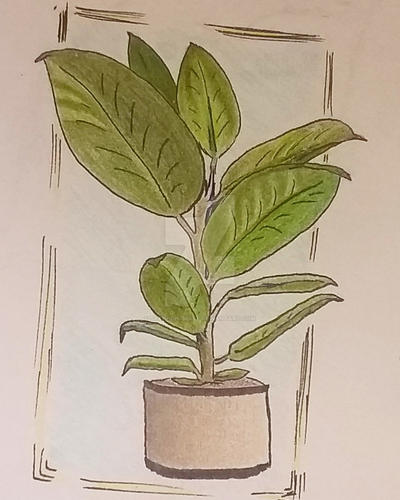Plant Deviantart Plant 1 by SakiNightmare on DeviantArt