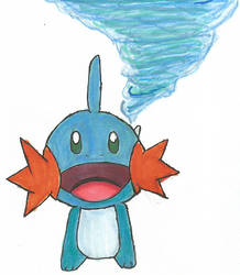 Mudkip Use Whirlpool