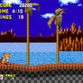 Sonic.exe: Hill Act 2 - Sonic?