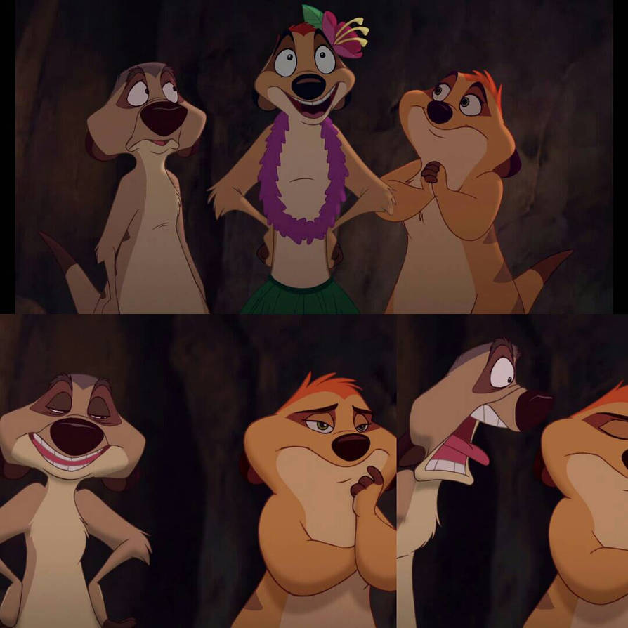 Grumpy Timon Timon funny by amlli12345 on DeviantArt
