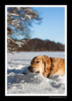 Nils on the ice