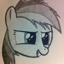 Filly Dash