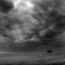 A place to Hide - bw