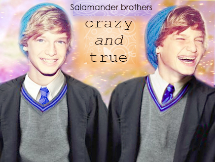 Salamander Brothers