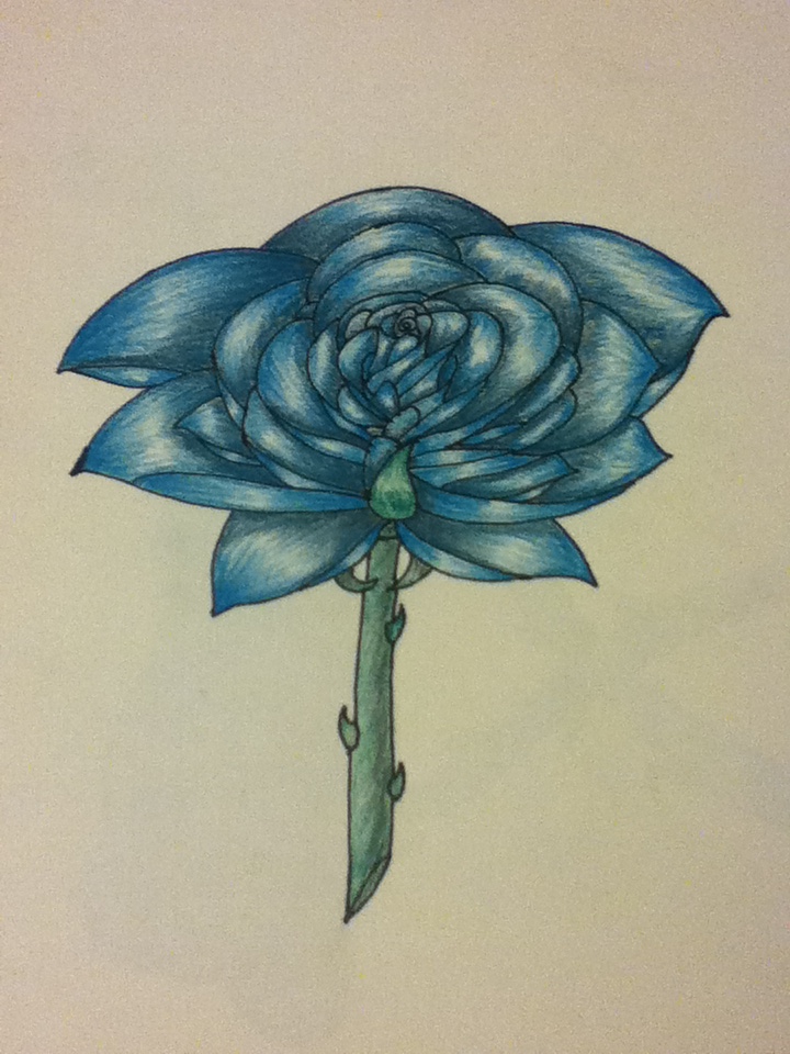 blue rose