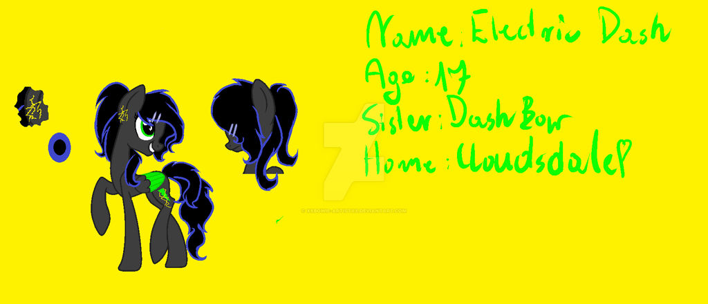 Electric Dash .:ReferenceSheet:. by XxBowie-ArtisTxX on DeviantArt