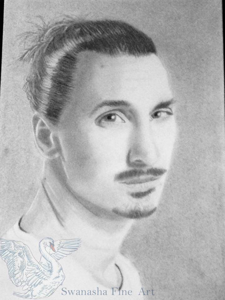 Ibrahimovic1