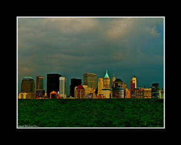 A Grassy Knoll...New York City