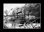 Colder In NY Than A Well-Digger's Ass In Alaska by Trippy4U